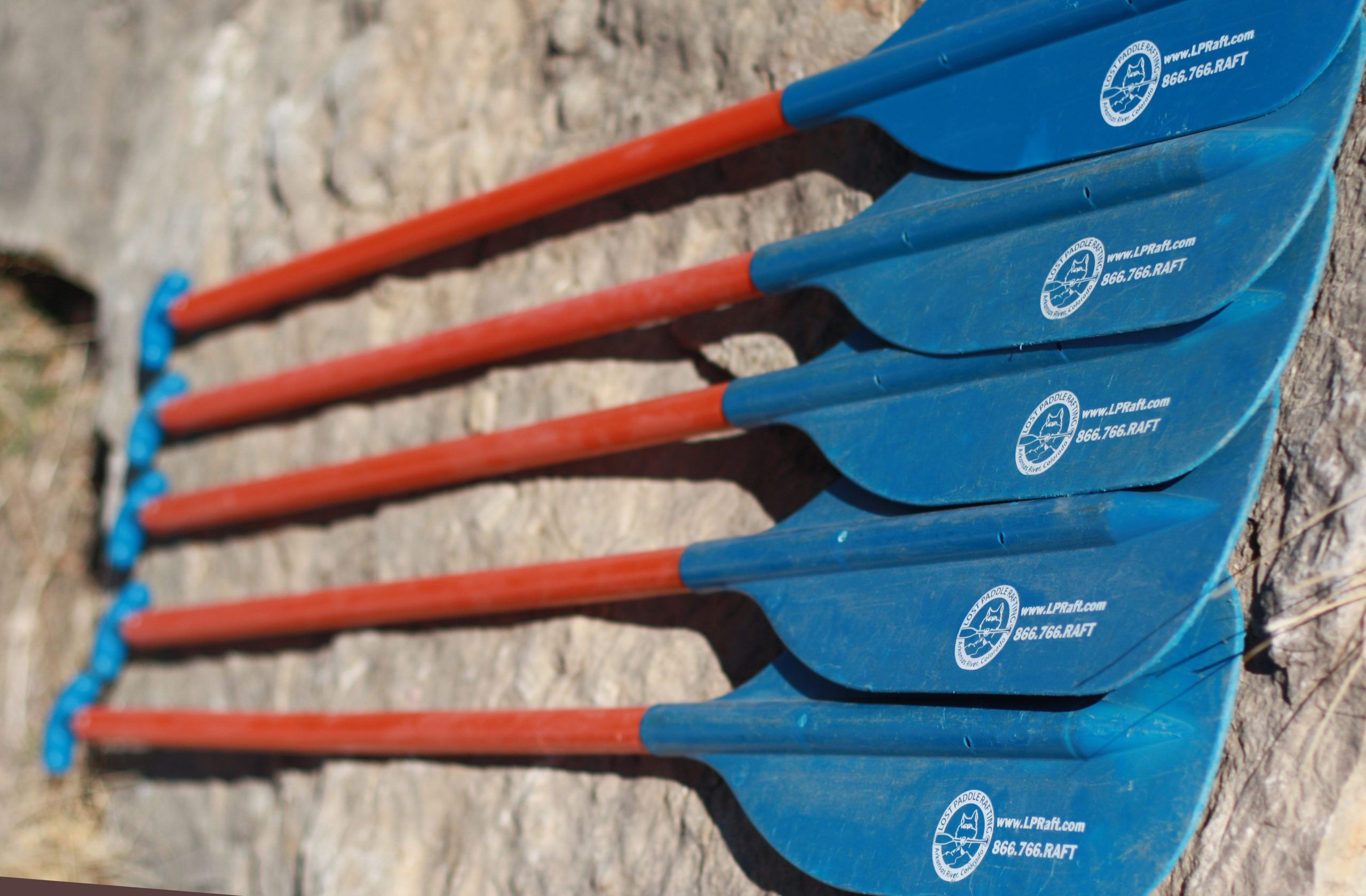 Lost Paddle Rafting - rafting photo 3